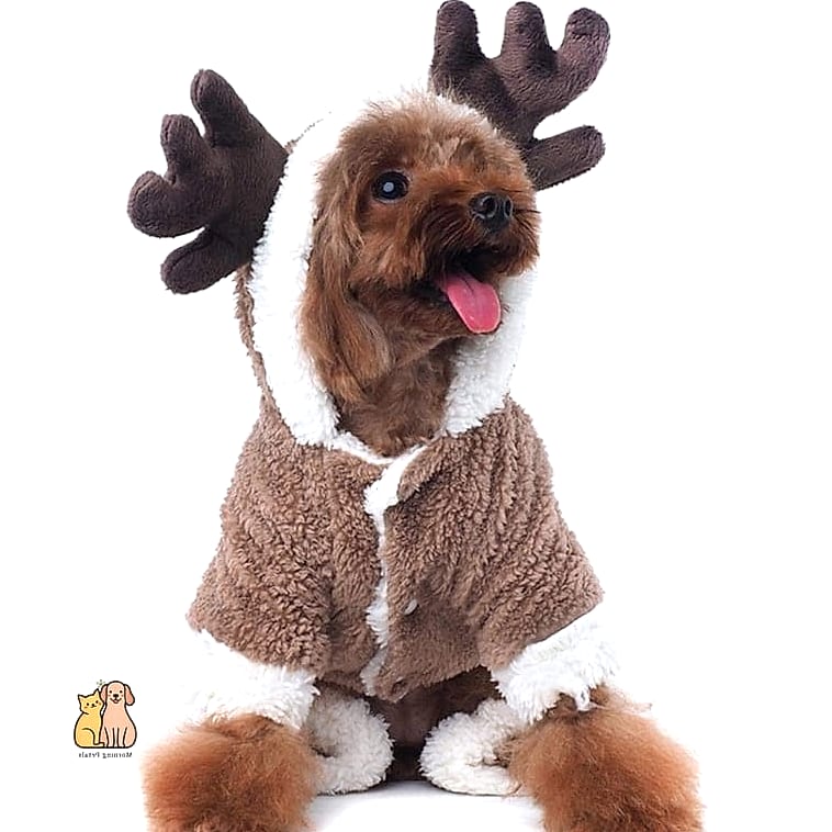 18 Adorable Pet Pajamas Guaranteed to Make You Smile 6 Christmas Reindeer Pajama Sets