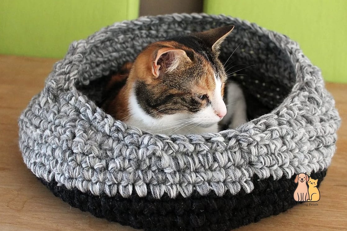 Chunky Braided Rim Nest