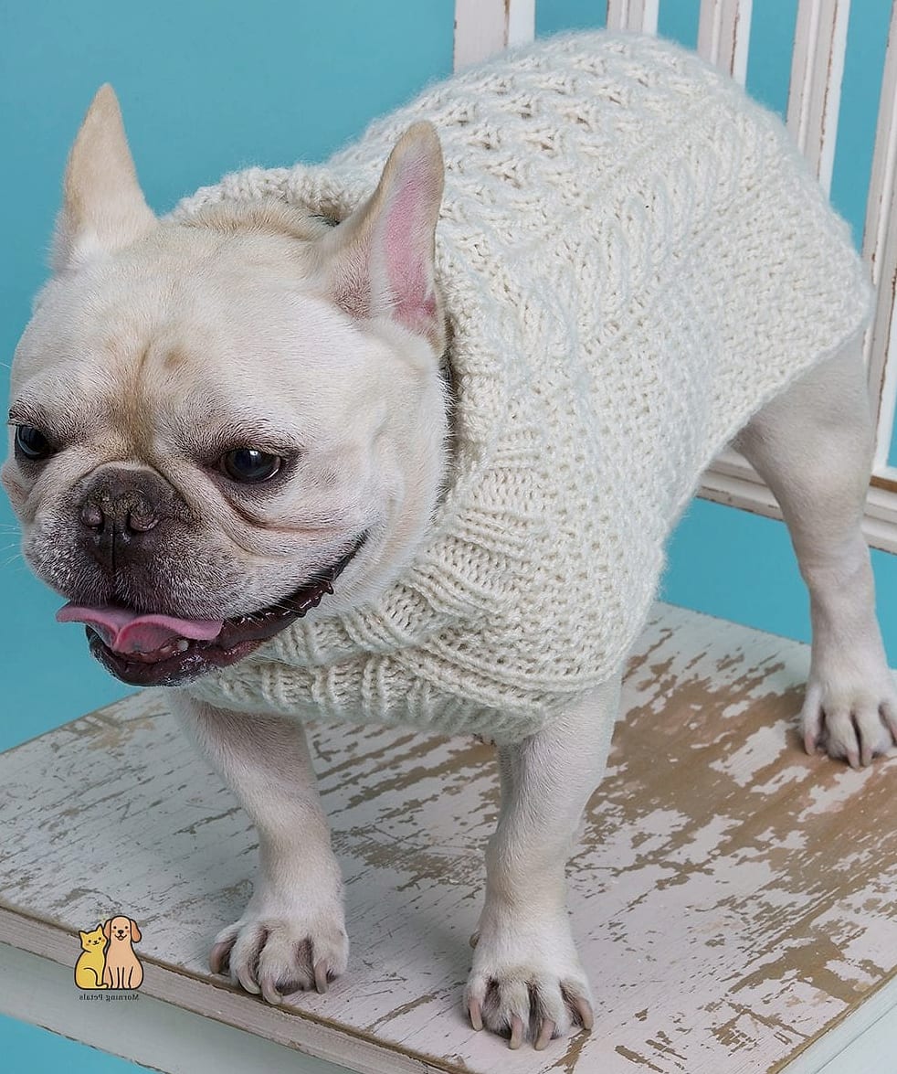 The Chunky Cable Turtleneck With Leg Warmers