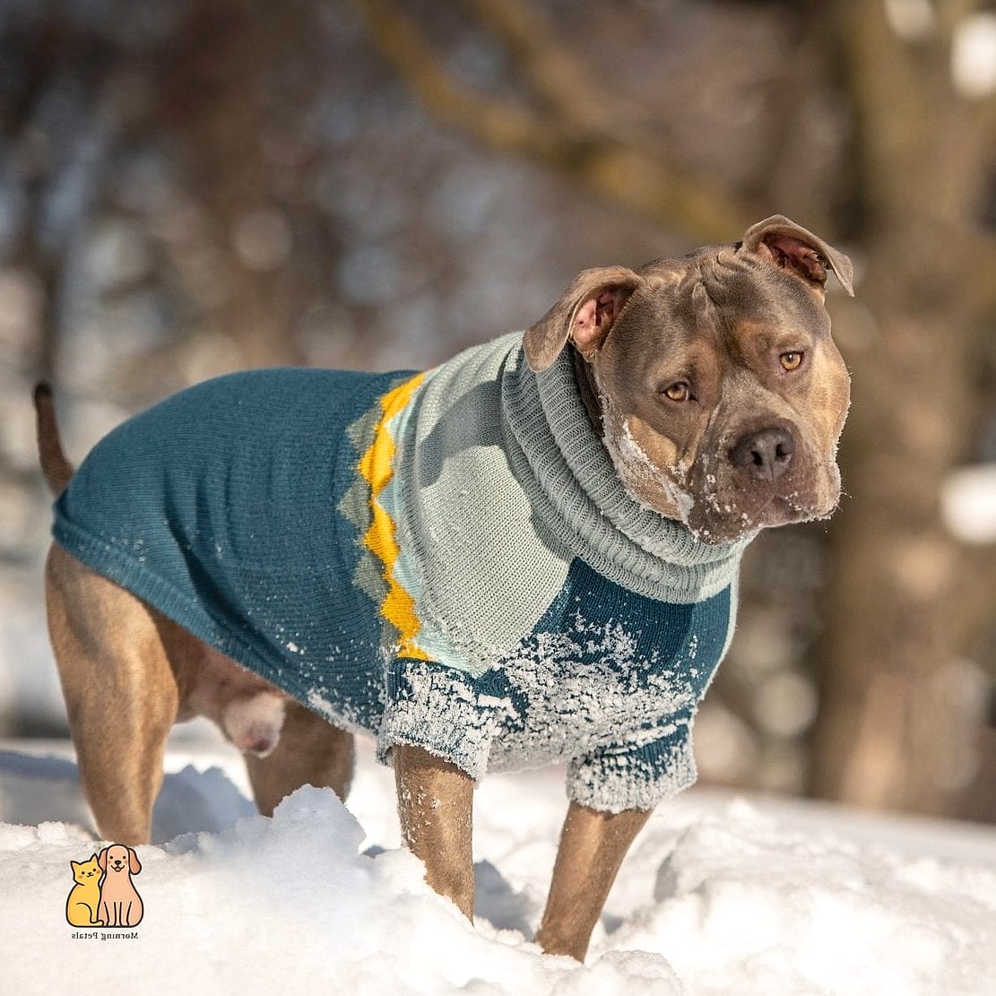 The Chunky Oversized Sweater