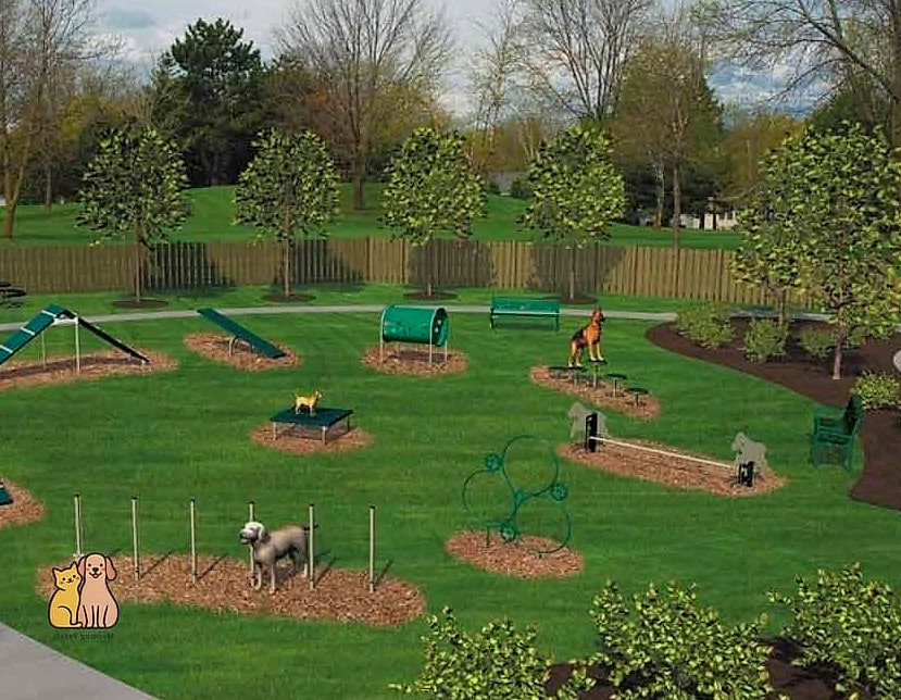 The Classic Agility Course Backyard