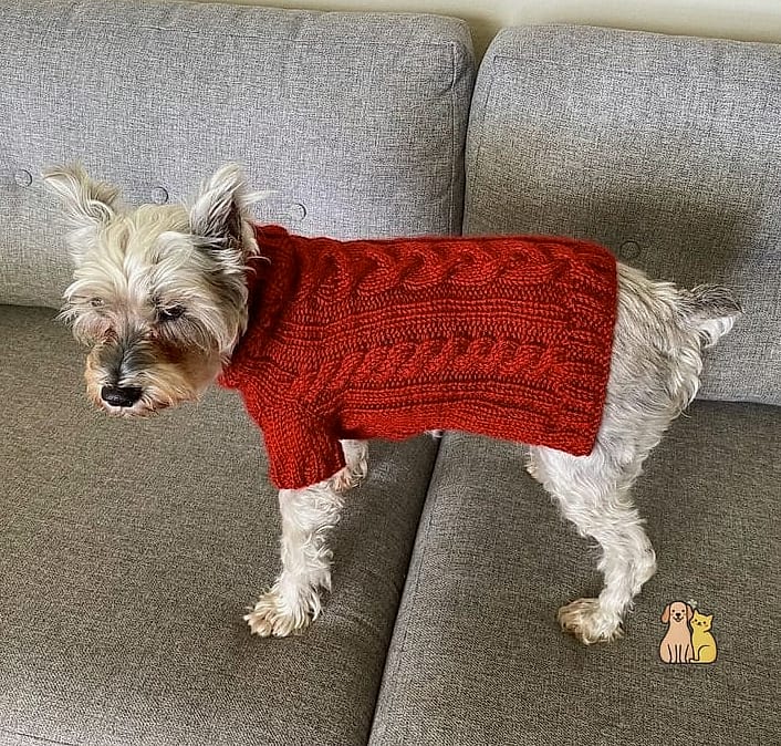 15 Gorgeous Small Dog Sweaters That Will Restore Your Faith in the World 2 The Classic Cable Knit Sweater