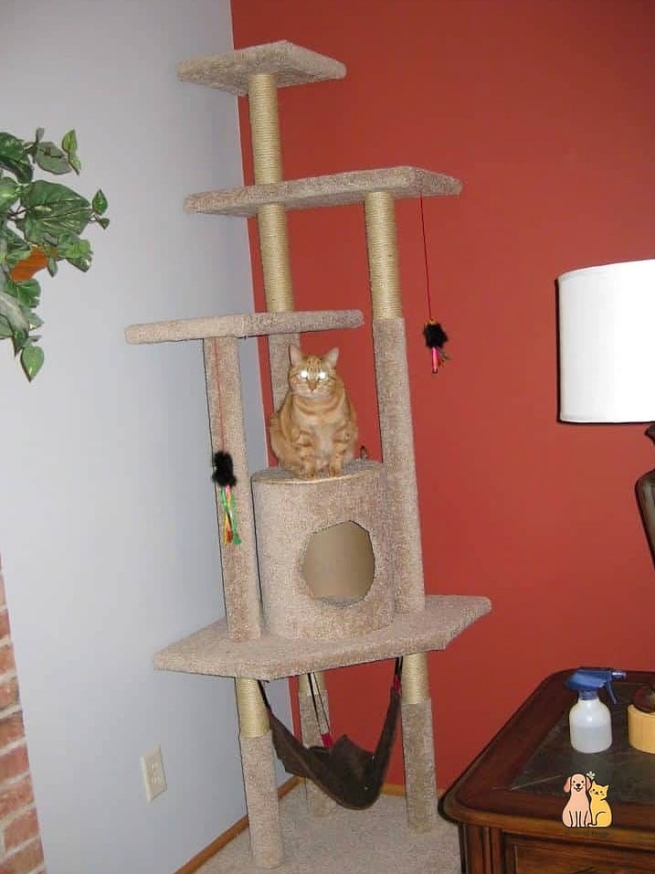 The Classic Carpet-Wrapped Tower