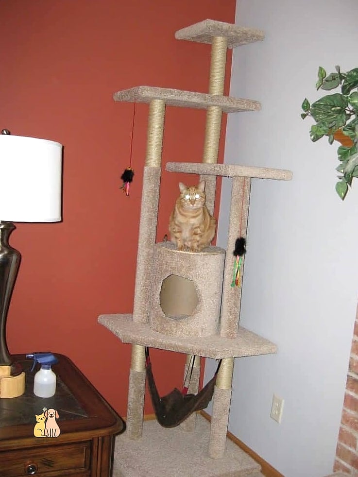 The Classic Carpet-Wrapped Tower