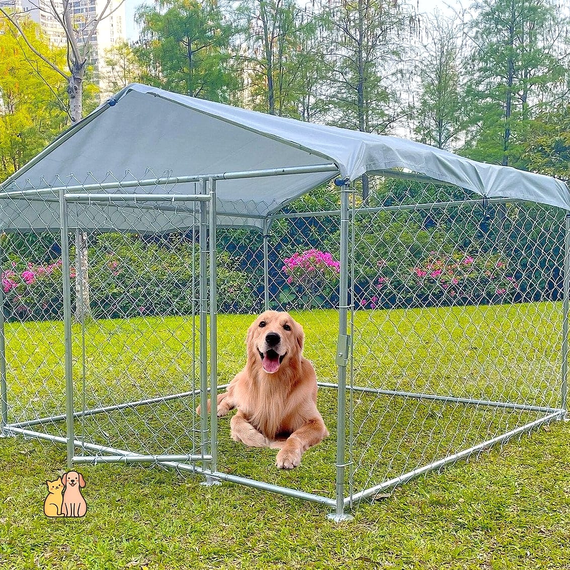 The Classic Chain-Link Run With a Roof