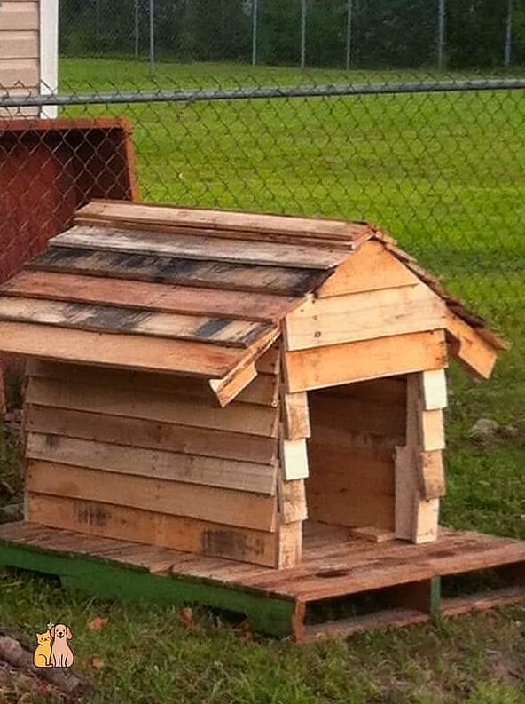 The Classic A-Frame Pallet Cabin