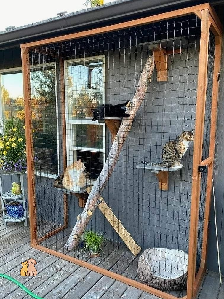 The Classic A-Frame Cat Shelter