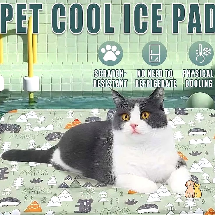 21 Cute Pet Cooling Mats For Summer That Prove Pets Are the Best 2 The Classic Gel-Filled Cooling Mat