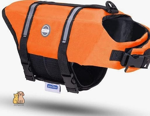 The Classic Orange Rescue-Style Vest