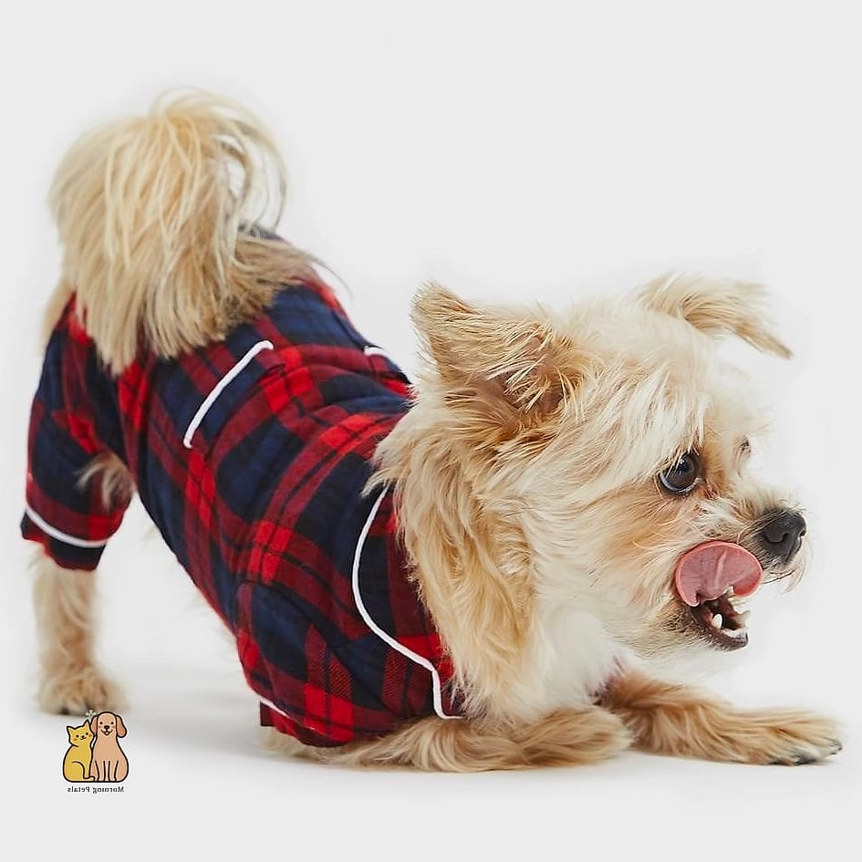 18 Adorable Pet Pajamas Guaranteed to Make You Smile 2 Classic Plaid Flannel Onesies