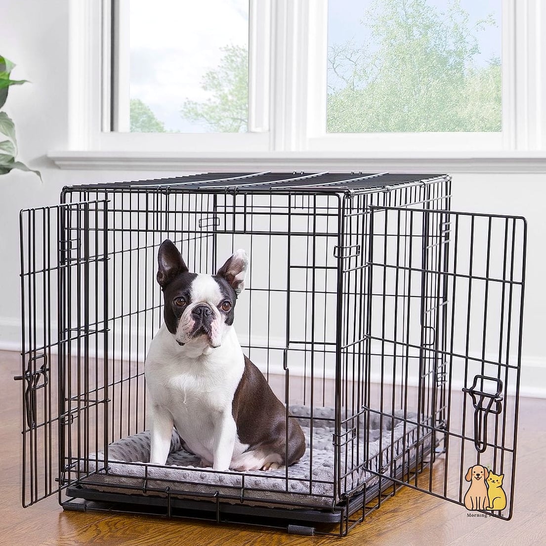 23 Precious Best Dog Crates That Prove Pets Are the Best 2 The Classic Wire Crate