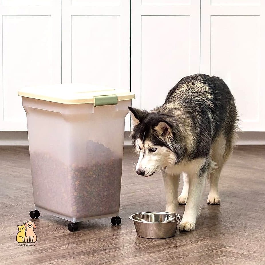 The Clear Container Organization System