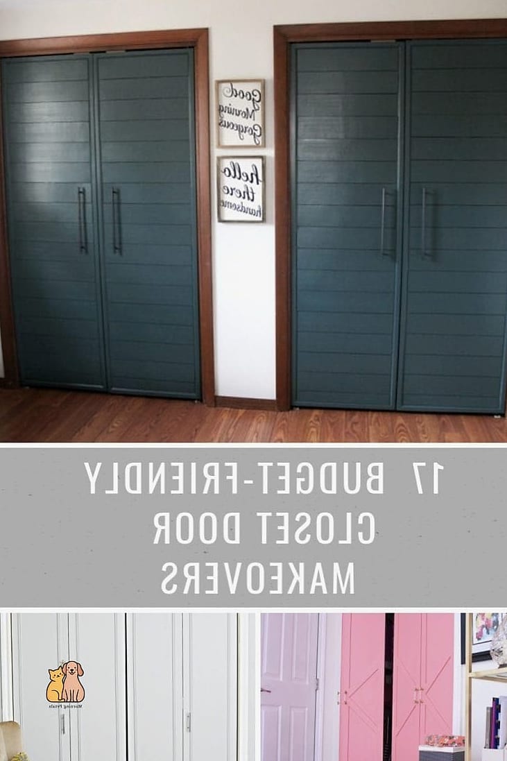 19 Budget-friendly Diy Dog Gate Ideas That Are Totally Worth It 9 Closet Door Turned Dog Gate