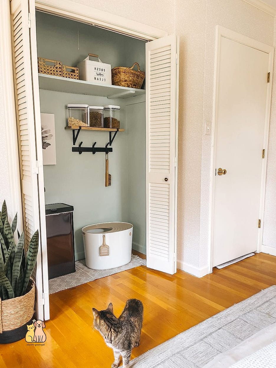 45 Budget-friendly Cat Eating Station Ideas Worth Pinning Immediately 20 The Closet Floor Nook