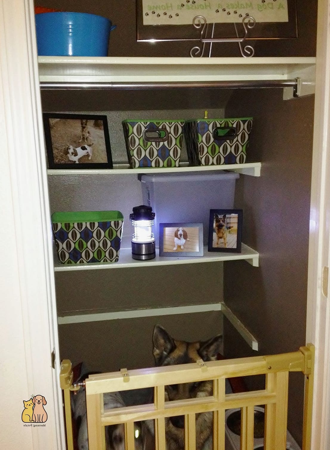 The Closet-Turned-Puppy-Suite
