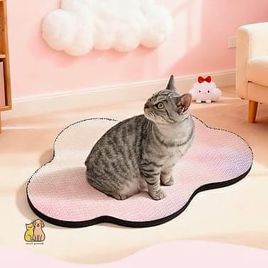 The Cloud-Shaped Wall Scratcher