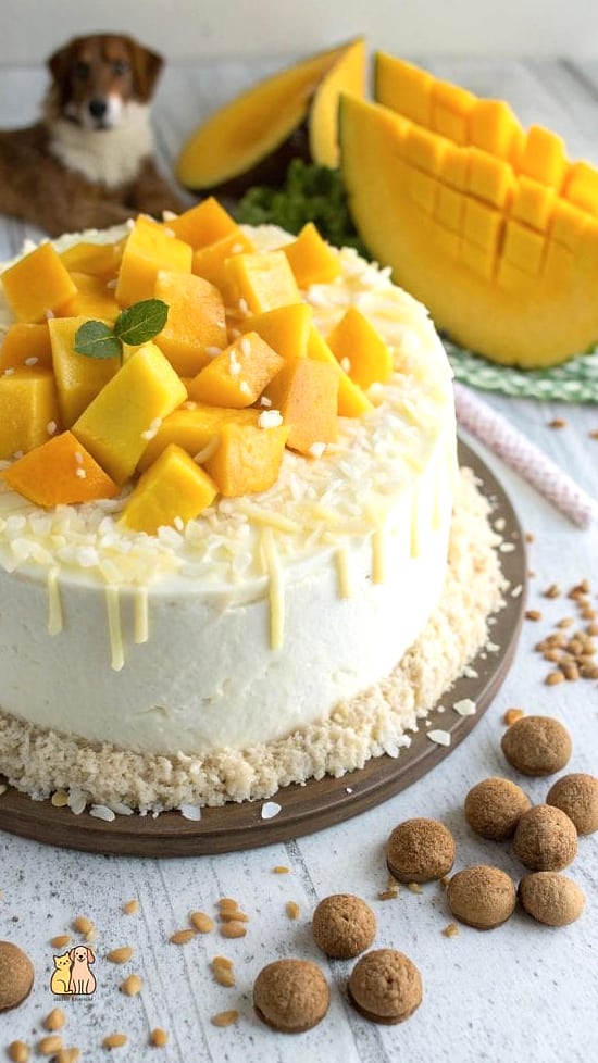 20 Easy Dog Cake Recipes Your Pup Will Go Crazy For 11 Coconut Dog Cake