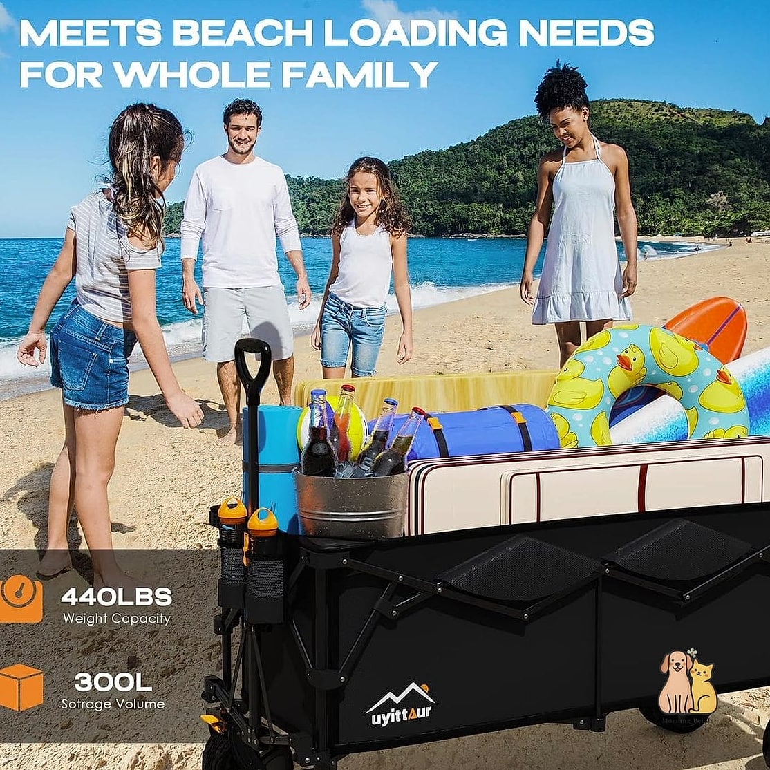 The Collapsible Heavy Wire Crate