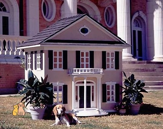 25 Amazing Dog Houses For Large Dogs That Are Too Cute to Handle 12 The Colonial Doghouse With Columns