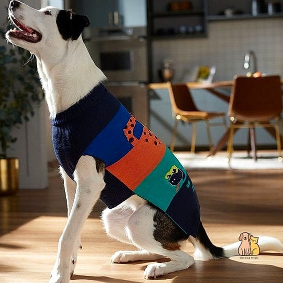 The Color-Block Two-Tone Sweater