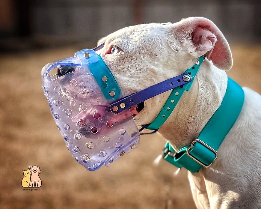 The Color-Changing Silicone Muzzle