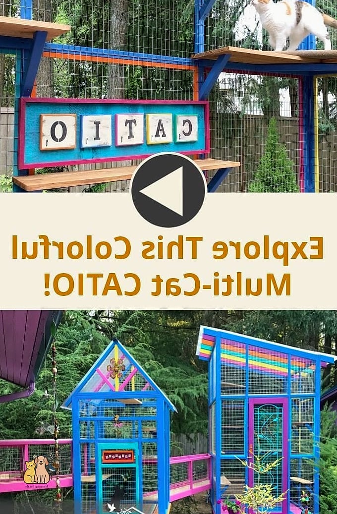The Colorful Kids' Playhouse Conversion Catio