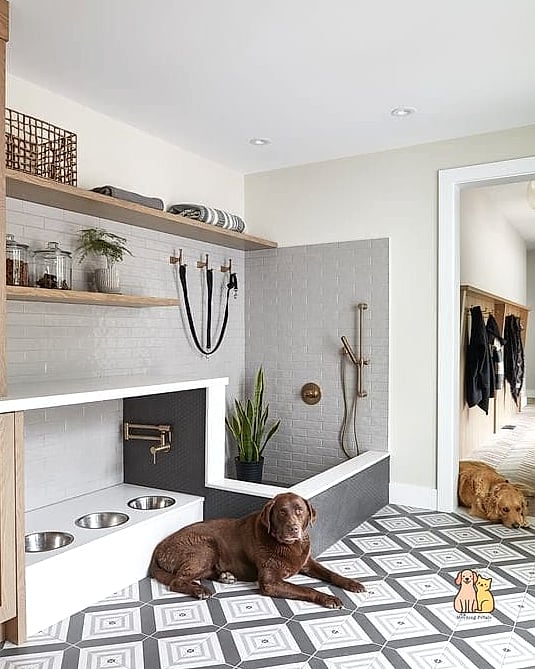 15 Gorgeous Dog Washing Station That Will Restore Your Faith in the World 6 The Compact Apartment Wash Nook