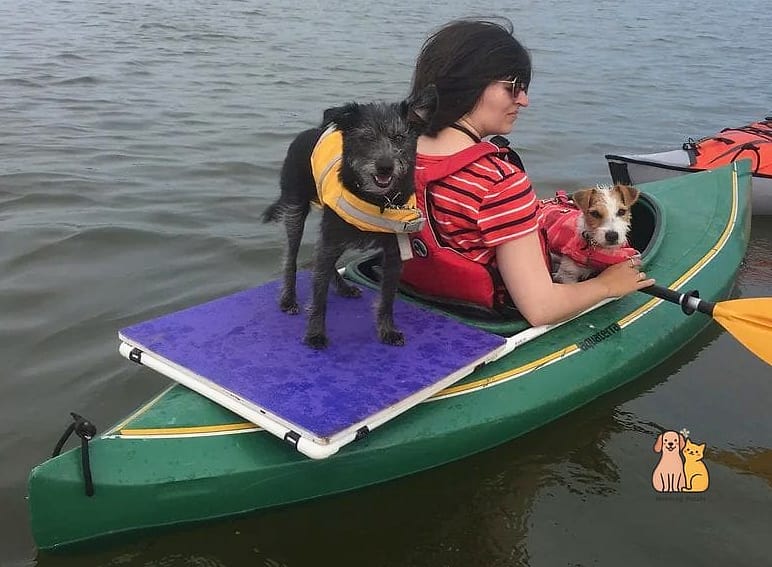 22 Cute Dog Ramps For Boats That Prove Pets Are the Best 16 The Compact Kayak-to-Dock Ramp