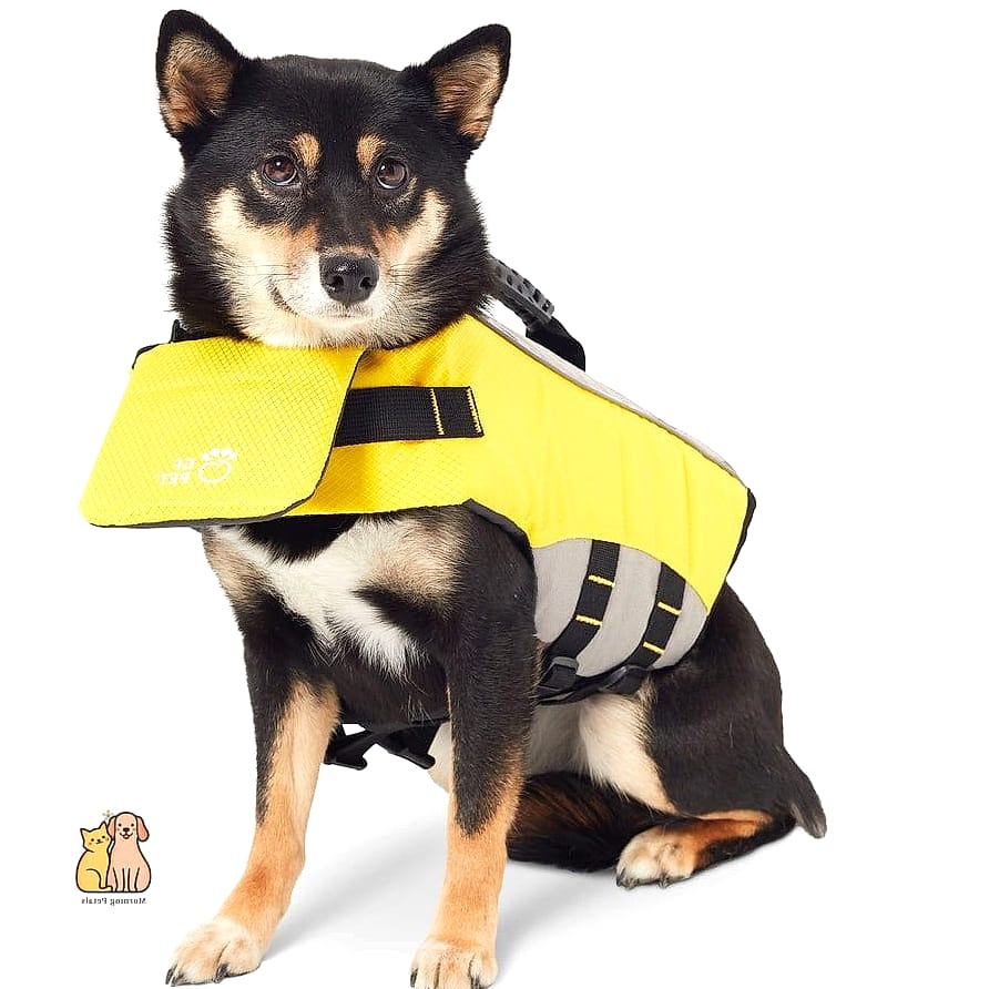 The Compact Travel Vest