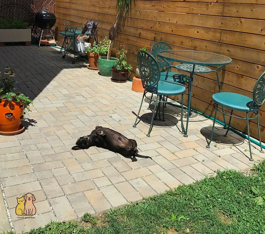 The Concrete Paver Base