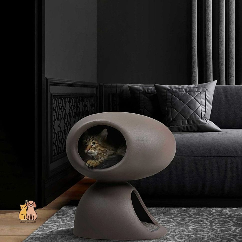 The Concrete Planter-Style Cave (Cat-Safe Version)