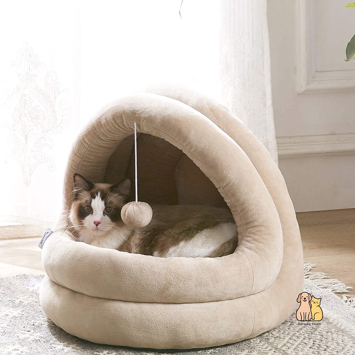 The Convertible Bed-and-Carrier Combo