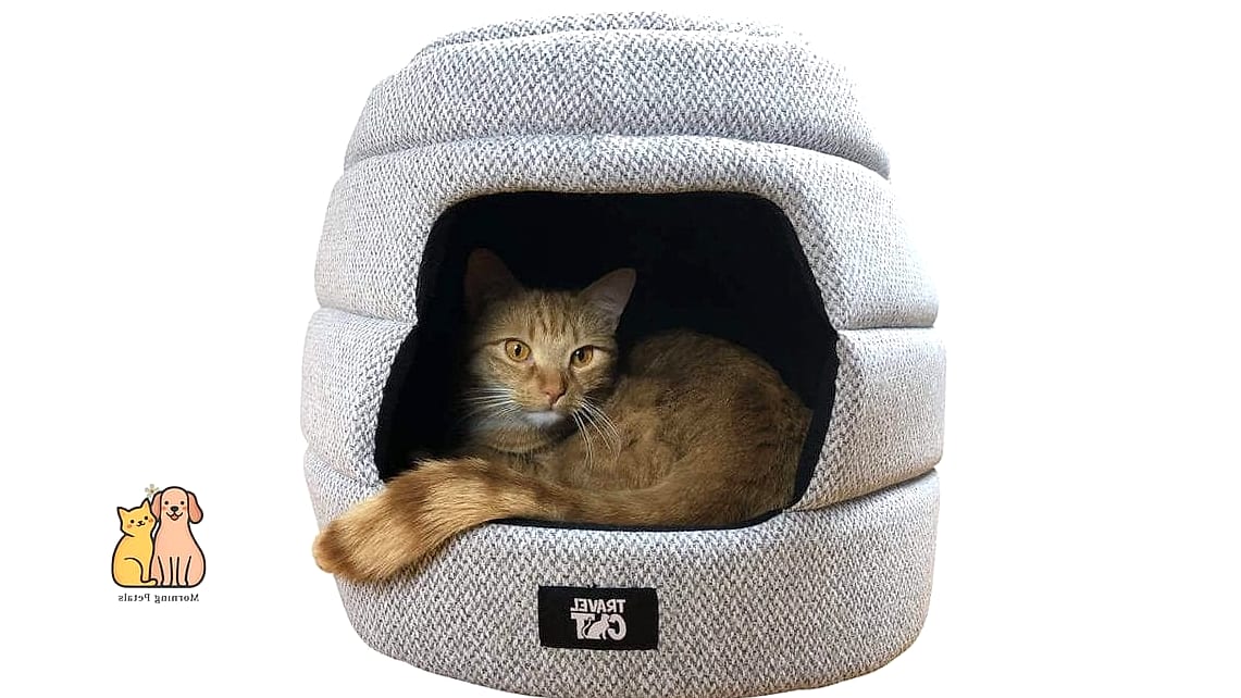 The Convertible Cave-to-Bed