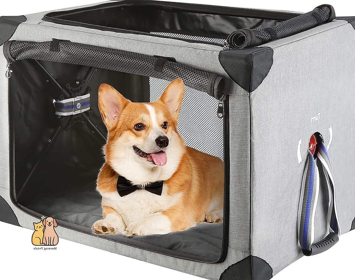 The Convertible Crate Cover House
