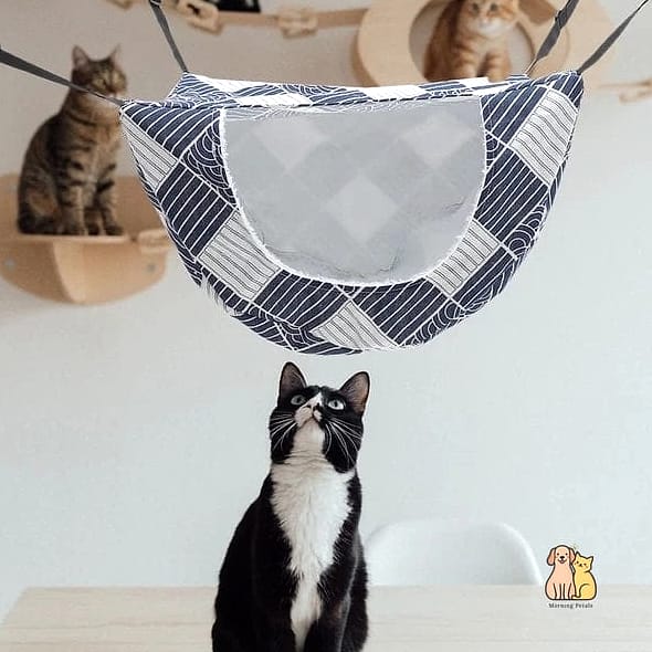 Convertible Hammock and Carrier Combo