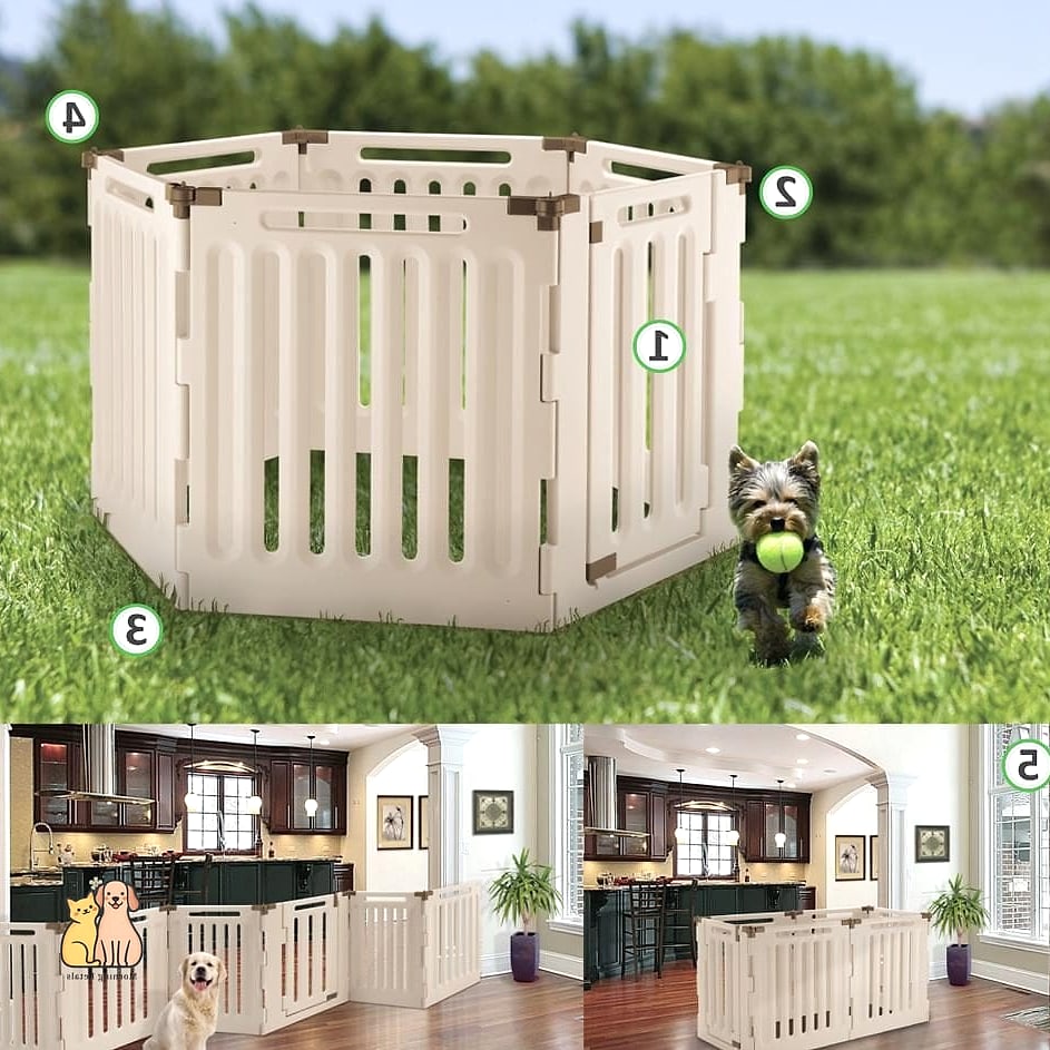 The Convertible Puppy Playpen Bed