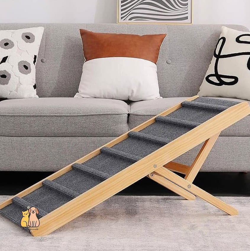The Convertible Stairs-to-Ramp Hybrid