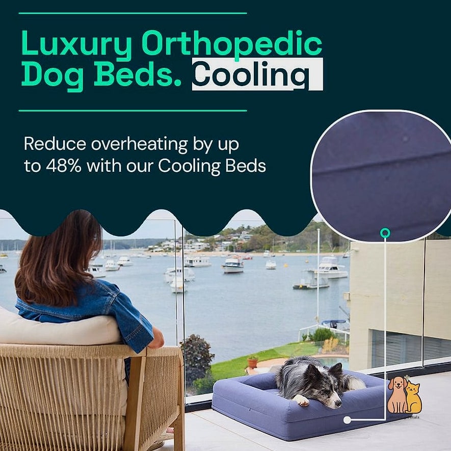 14. Cooling Dog Bed With Affordable Materials