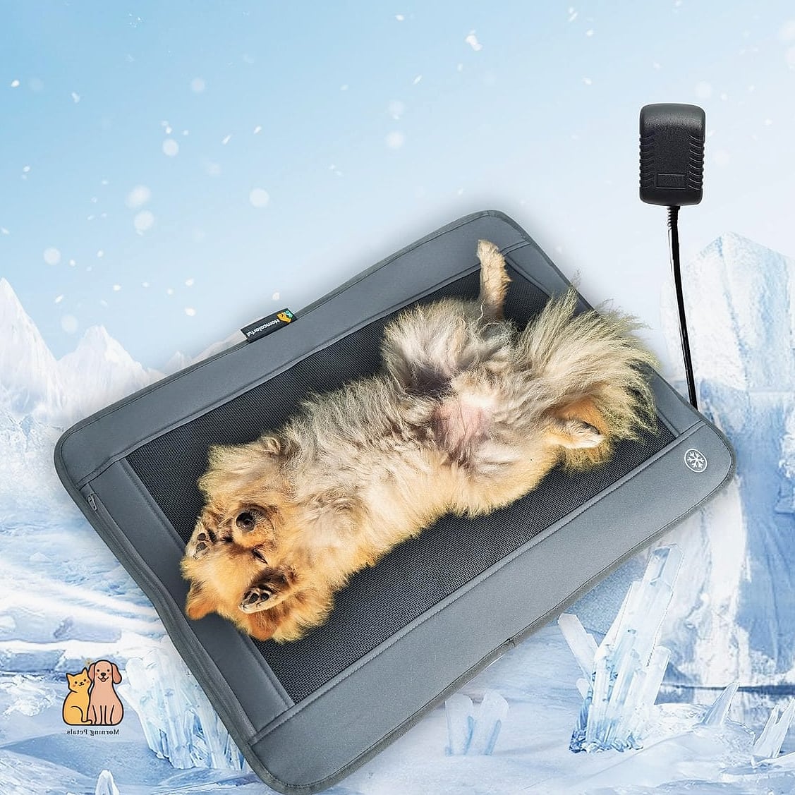 23 Budget-friendly Dog Bed Ideas For Living Room That Are Going Viral 16 The Cooling Gel Dog Bed