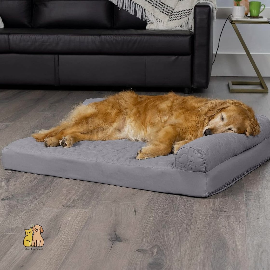 20 Stunning Best Dog Beds You Need in Your Life Right Now 8 Cooling Gel Dog Bed for Hot Days