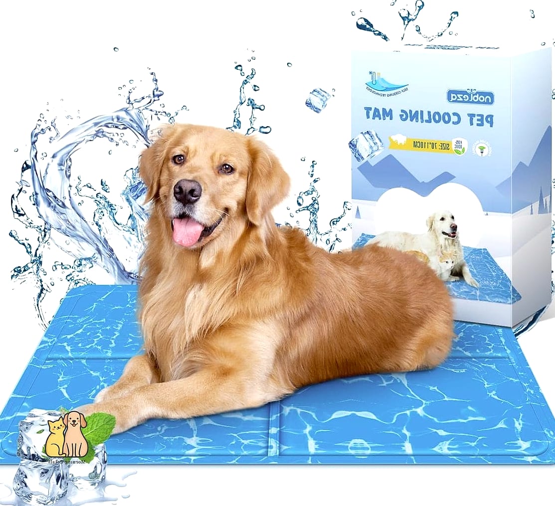 25 Amazing Dog Pee Pads That Will Restore Your Faith in the World 20 The Cooling Gel Pad for Warm Climates