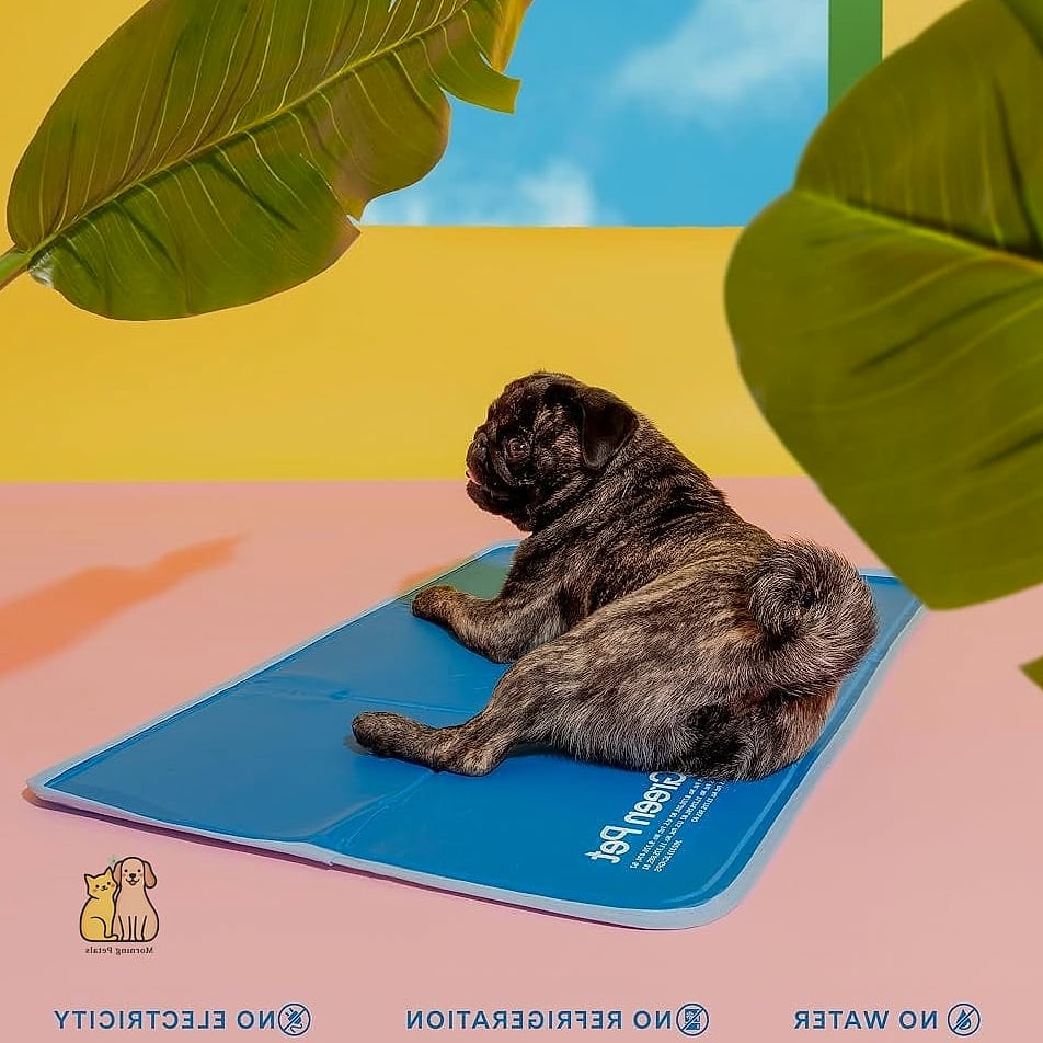 21 Cute Pet Cooling Mats For Summer That Prove Pets Are the Best 16 The Cooling Mat with a Machine-Washable Cover