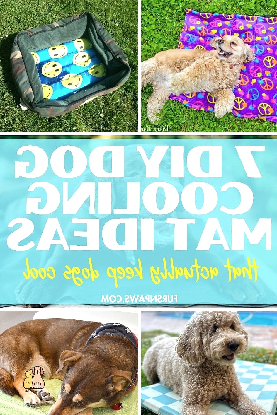 A Cooling Mat Setup for Warm Climates