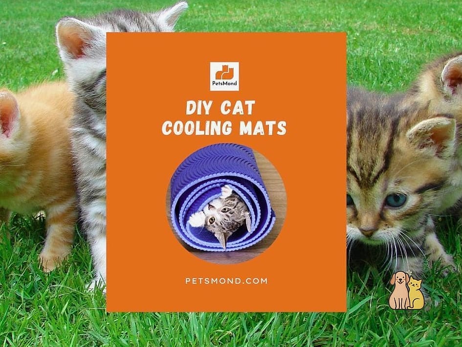 Cooling Mat for Summer Naps