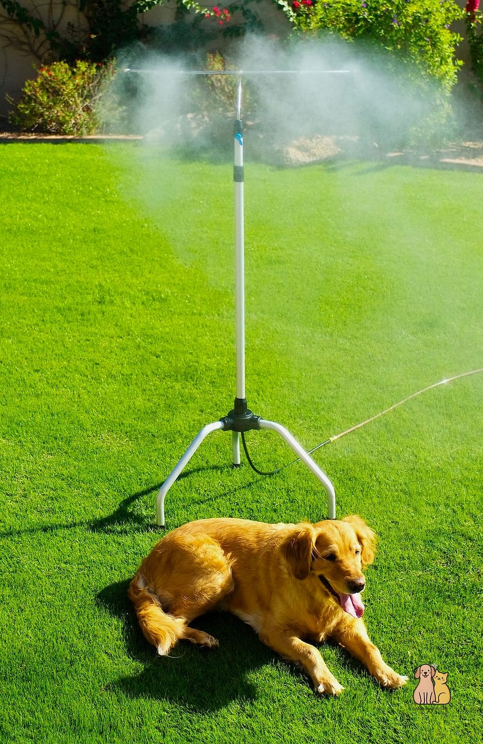 A Cooling Misting Station