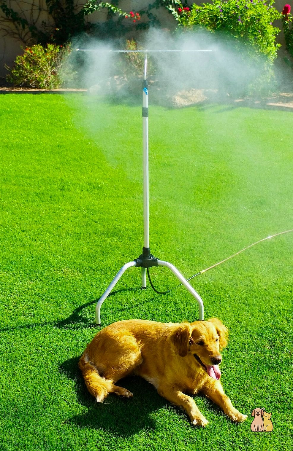 25 Simple Dog Yard Ideas to Try Right Now 11 A Cooling Misting Station