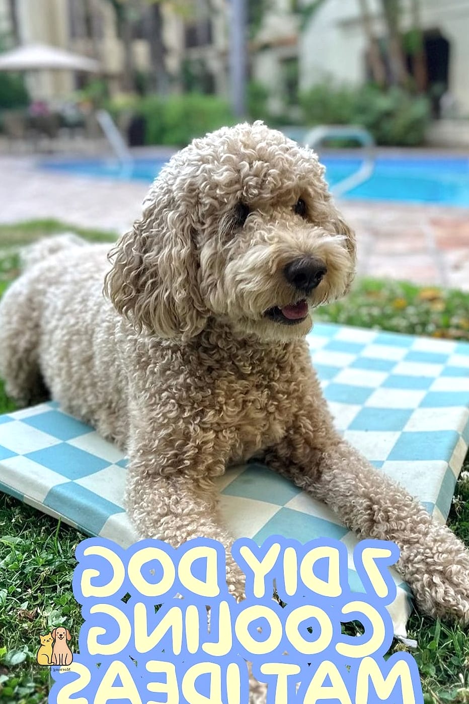 The Cooling Summer Dog Bed