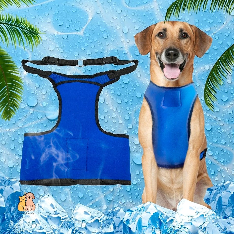 20 Heartwarming Dog Accessories You Need in Your Life Right Now 6 A Cooling Vest for Summer Walks