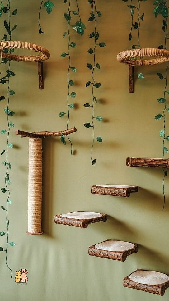 The Cork Board Climbing Wall