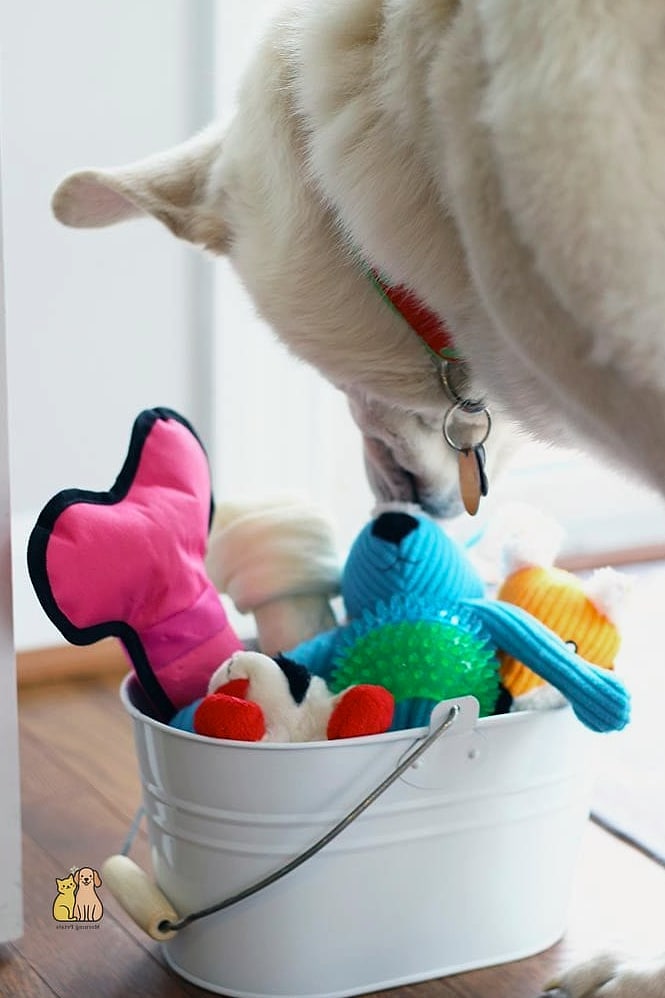 A Corner Toy Caddy